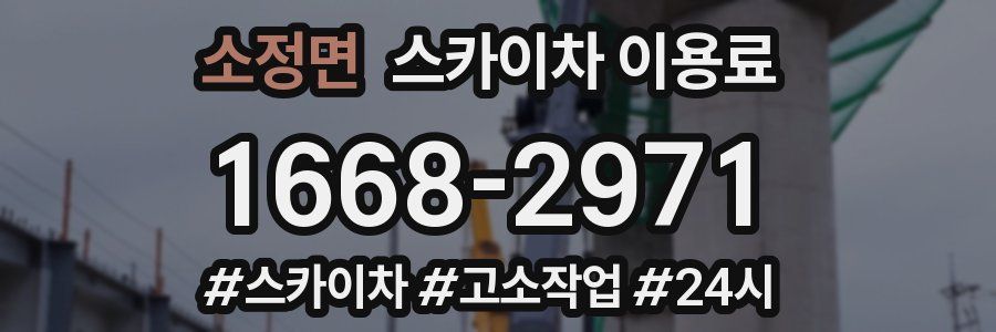 소정면 스카이차 이용료