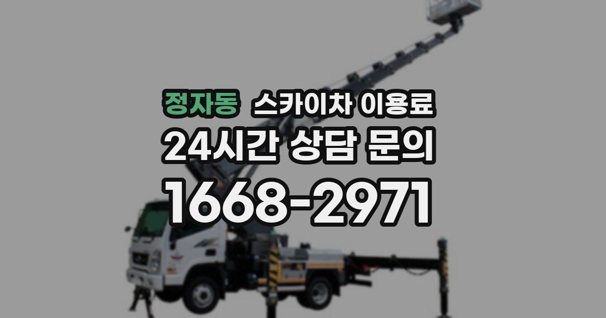 정자동 스카이차 이용료