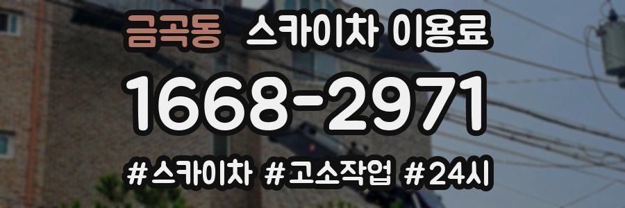 금곡동 스카이차 이용료
