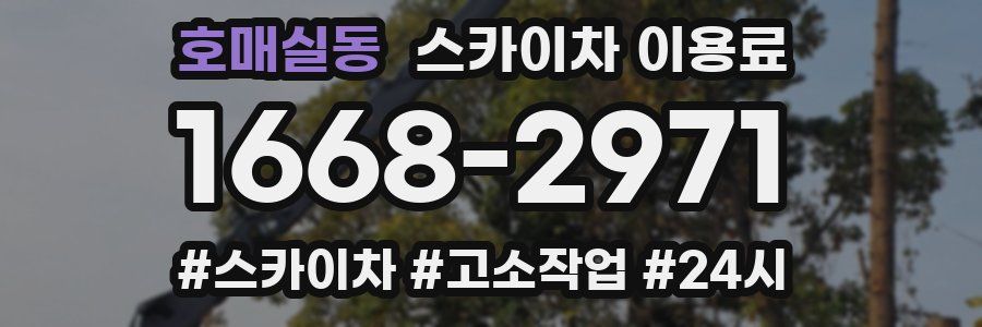 호매실동 스카이차 이용료