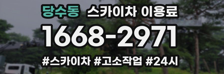 당수동 스카이차 이용료