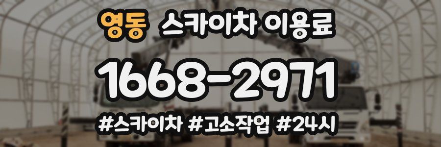 영동 스카이차 이용료