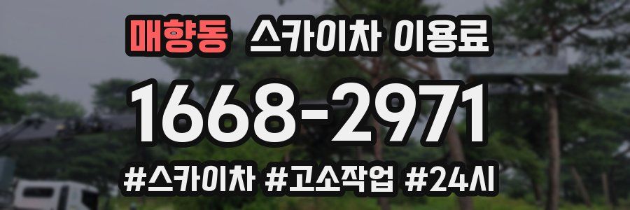 매향동 스카이차 이용료