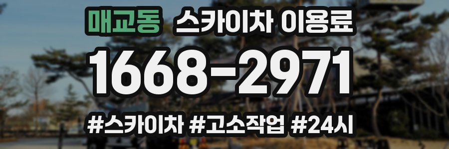 매교동 스카이차 이용료