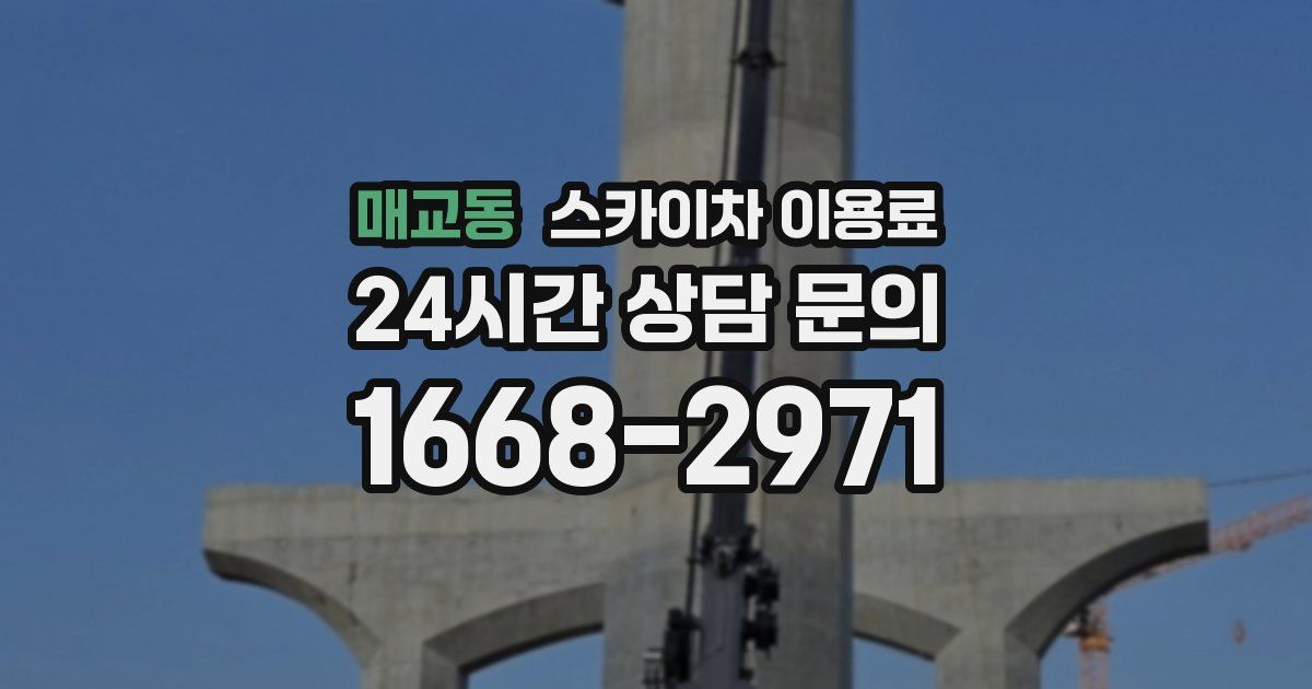 매교동 스카이차 이용료