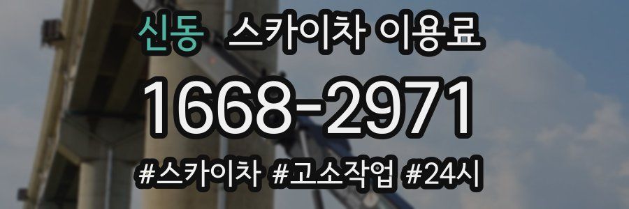 신동 스카이차 이용료