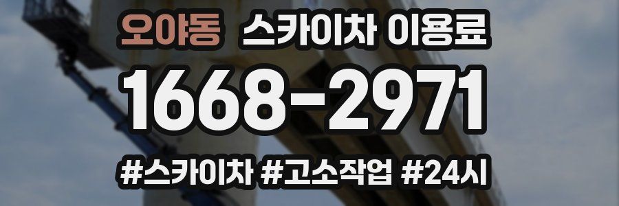 오야동 스카이차 이용료