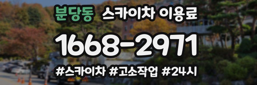 분당동 스카이차 이용료