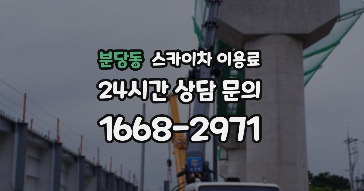분당동 스카이차 이용료