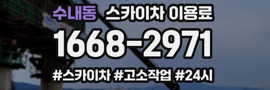 수내동 스카이차 이용료