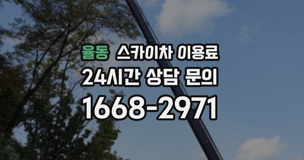 율동 스카이차 이용료