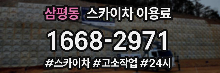 삼평동 스카이차 이용료