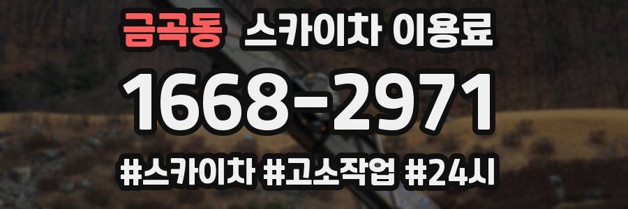 금곡동 스카이차 이용료