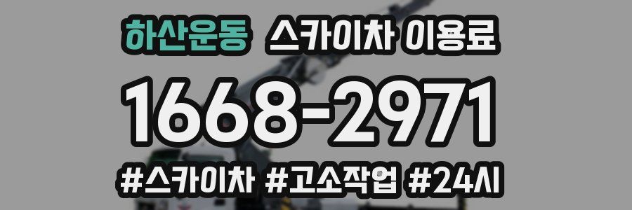 하산운동 스카이차 이용료