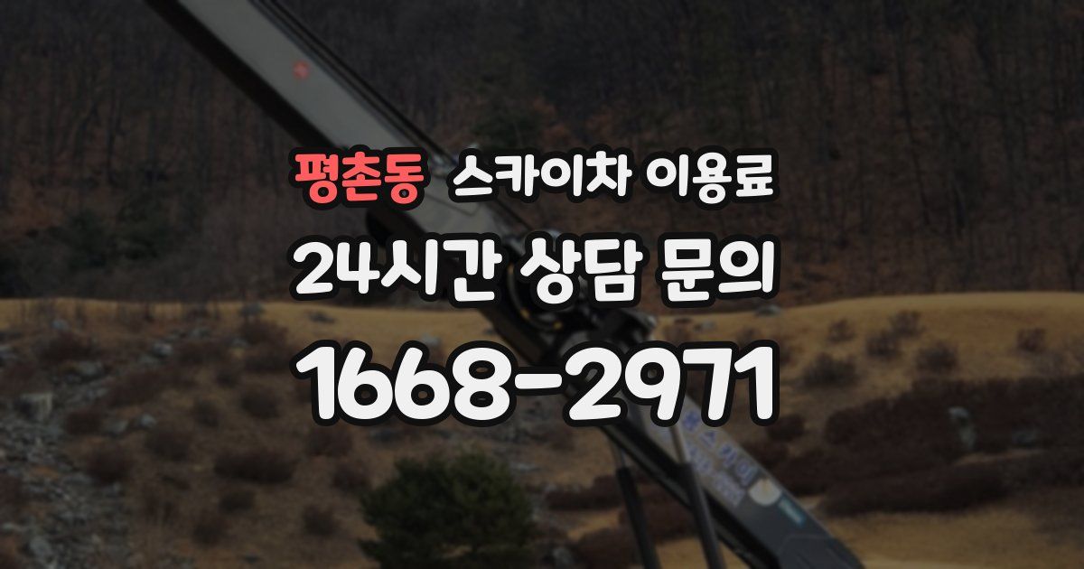 평촌동 스카이차 이용료