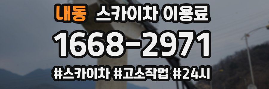 내동 스카이차 이용료