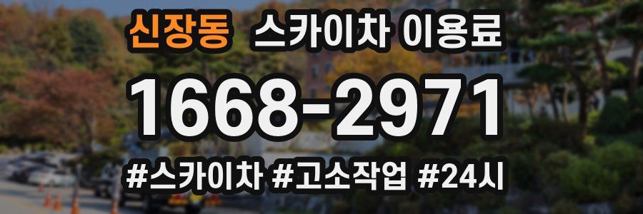신장동 스카이차 이용료