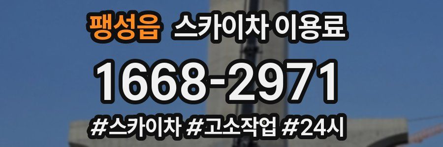 팽성읍 스카이차 이용료