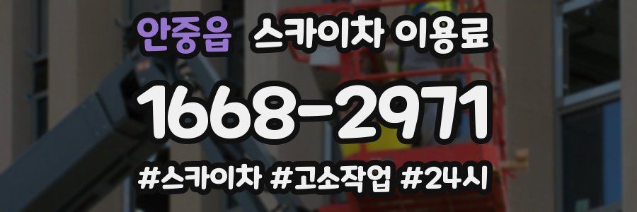 안중읍 스카이차 이용료