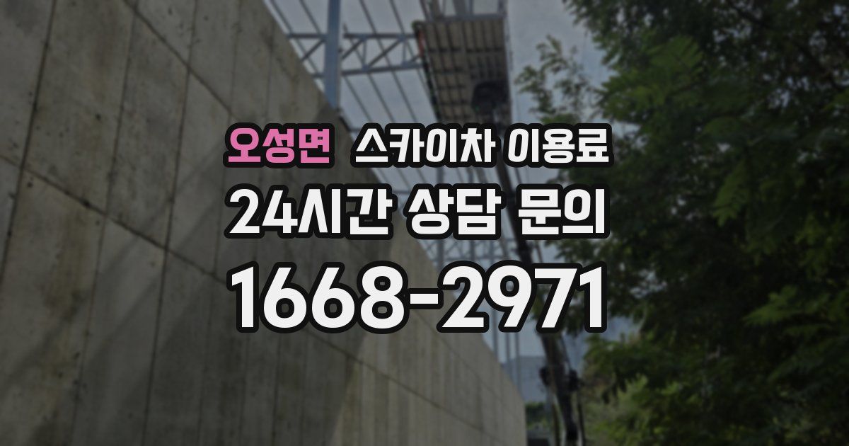 오성면 스카이차 이용료