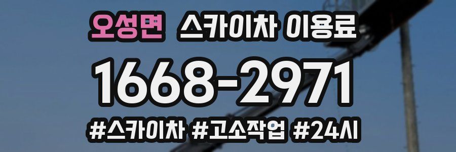오성면 스카이차 이용료