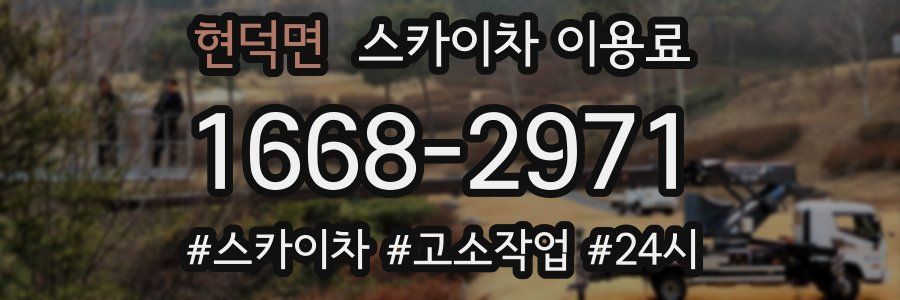 현덕면 스카이차 이용료
