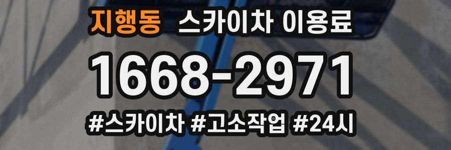 지행동 스카이차 이용료