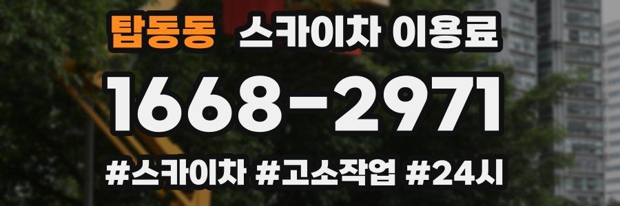 탑동동 스카이차 이용료