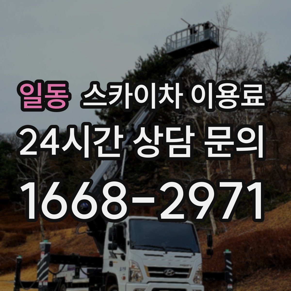 일동 스카이차 이용료