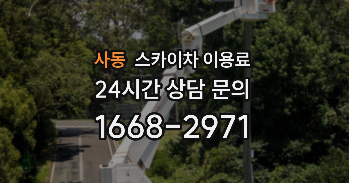 사동 스카이차 이용료