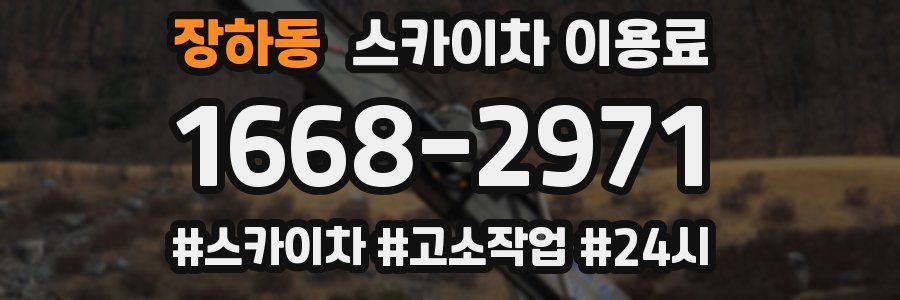장하동 스카이차 이용료