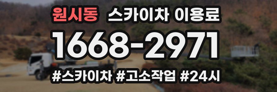 원시동 스카이차 이용료
