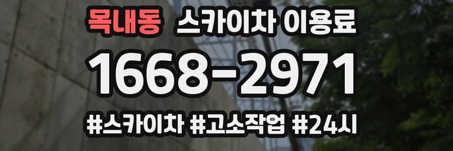 목내동 스카이차 이용료