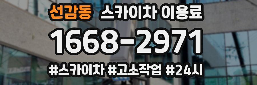 선감동 스카이차 이용료