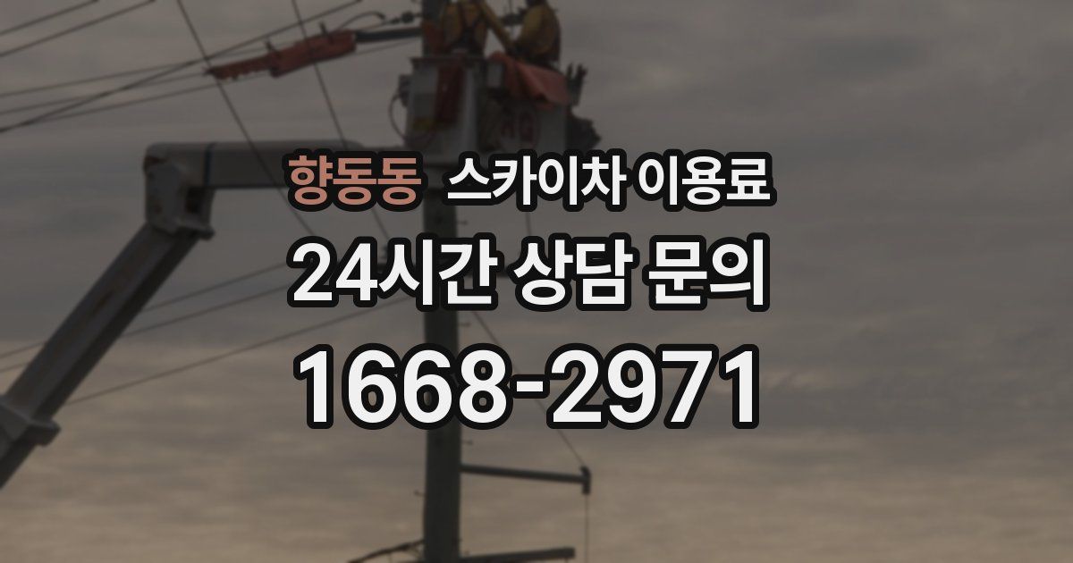 향동동 스카이차 이용료