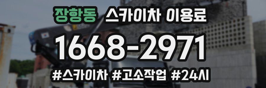 장항동 스카이차 이용료