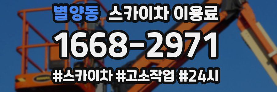 별양동 스카이차 이용료
