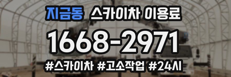 지금동 스카이차 이용료
