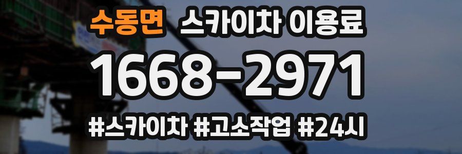 수동면 스카이차 이용료