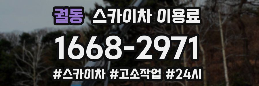 궐동 스카이차 이용료