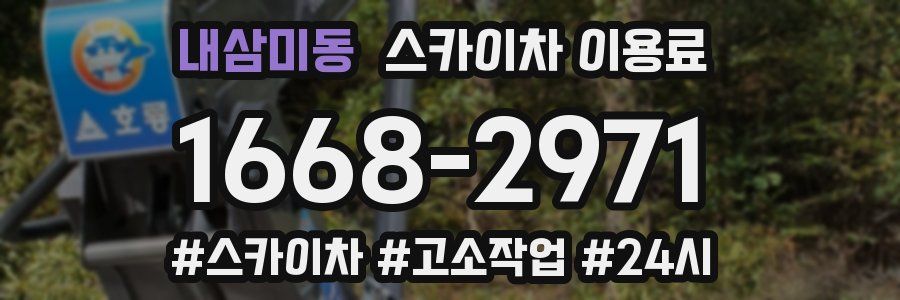내삼미동 스카이차 이용료