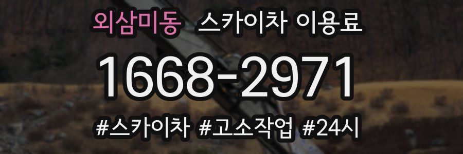 외삼미동 스카이차 이용료