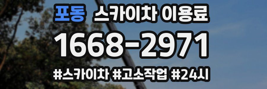 포동 스카이차 이용료