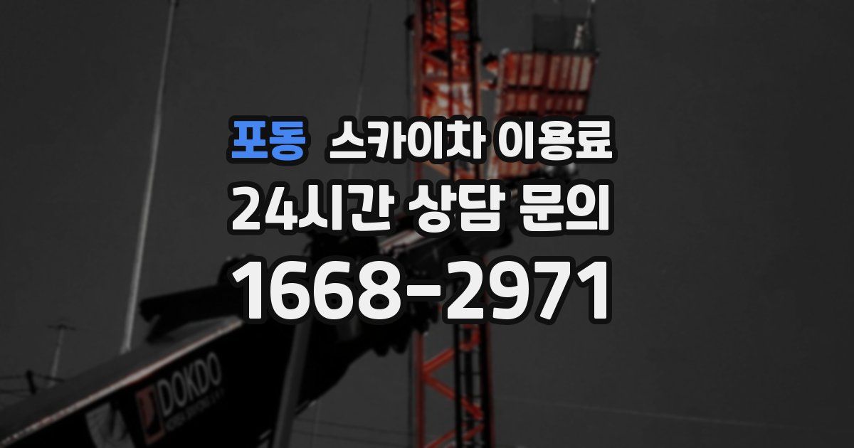 포동 스카이차 이용료