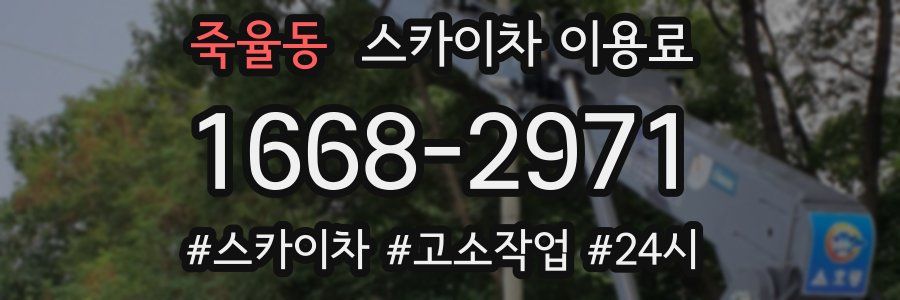 죽율동 스카이차 이용료