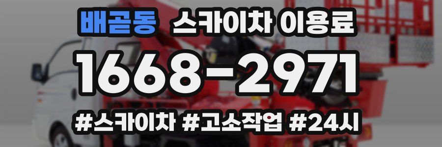 배곧동 스카이차 이용료