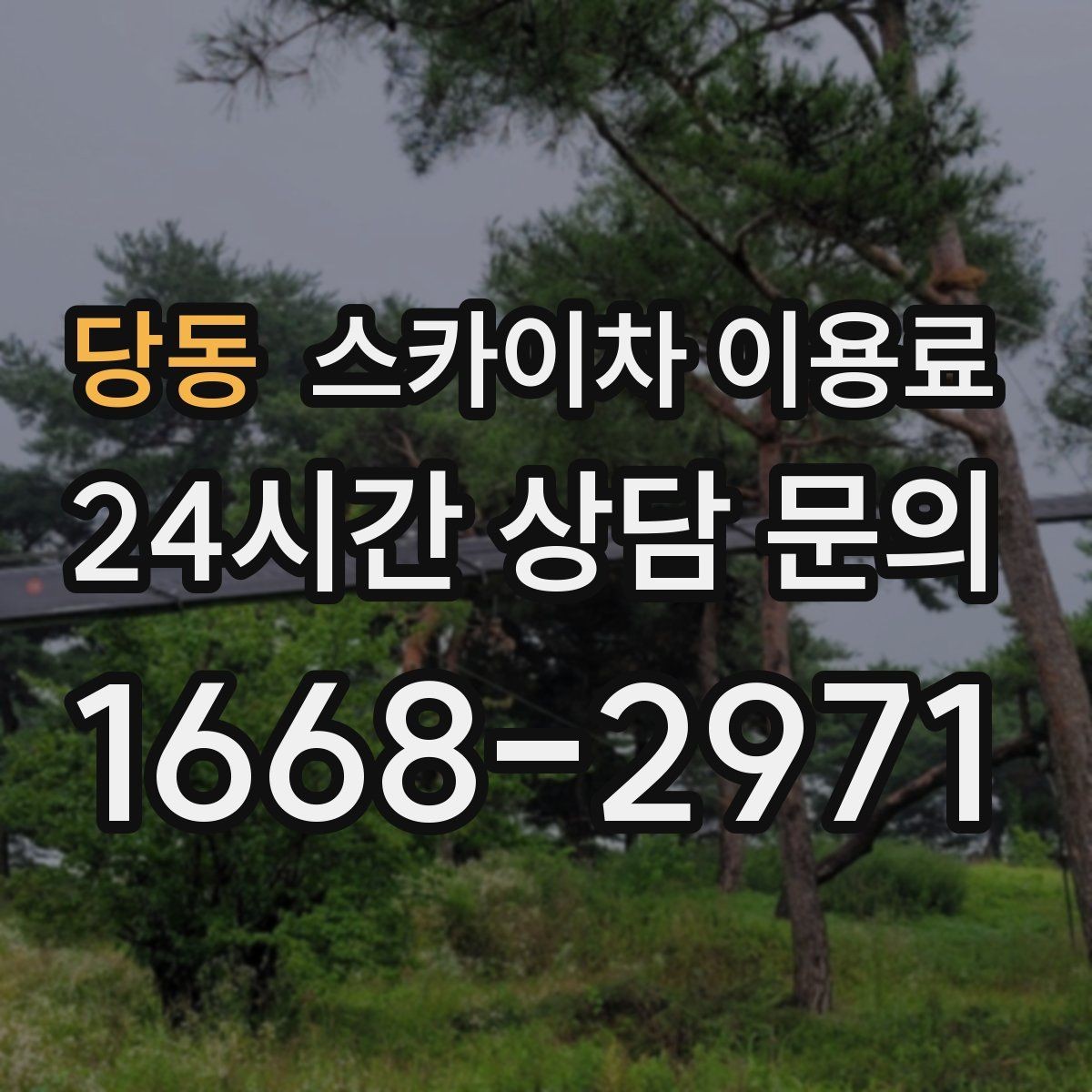 당동 스카이차 이용료 비교할 때 놓치기 쉬운 부분