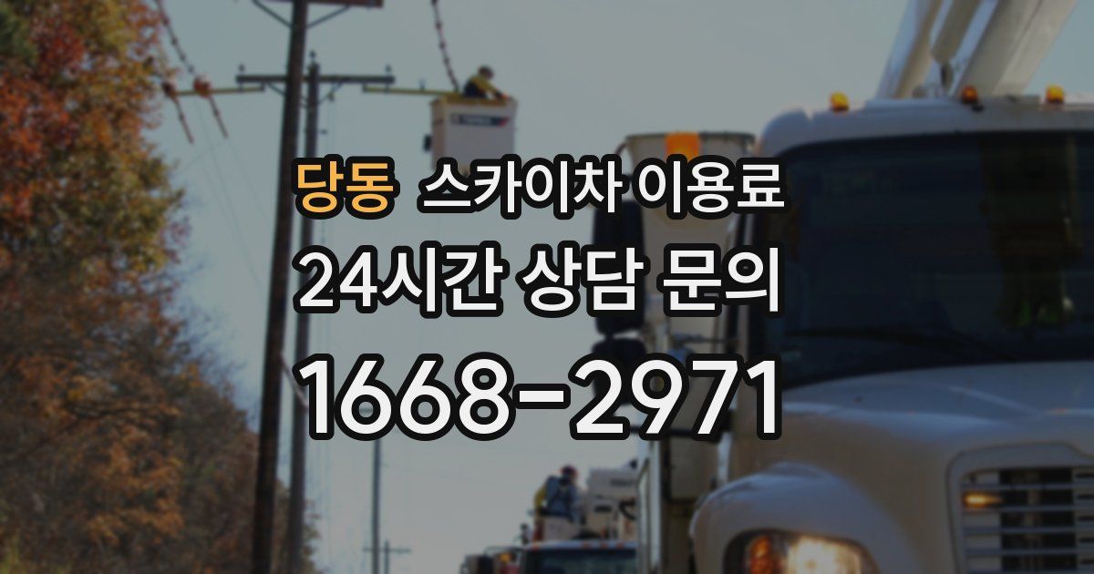 당동 스카이차 이용료