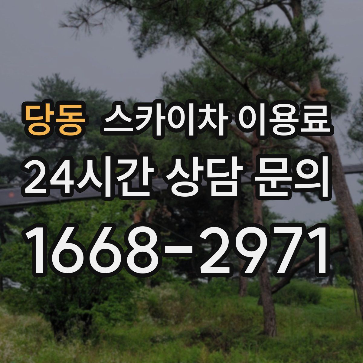 당동 스카이차 이용료