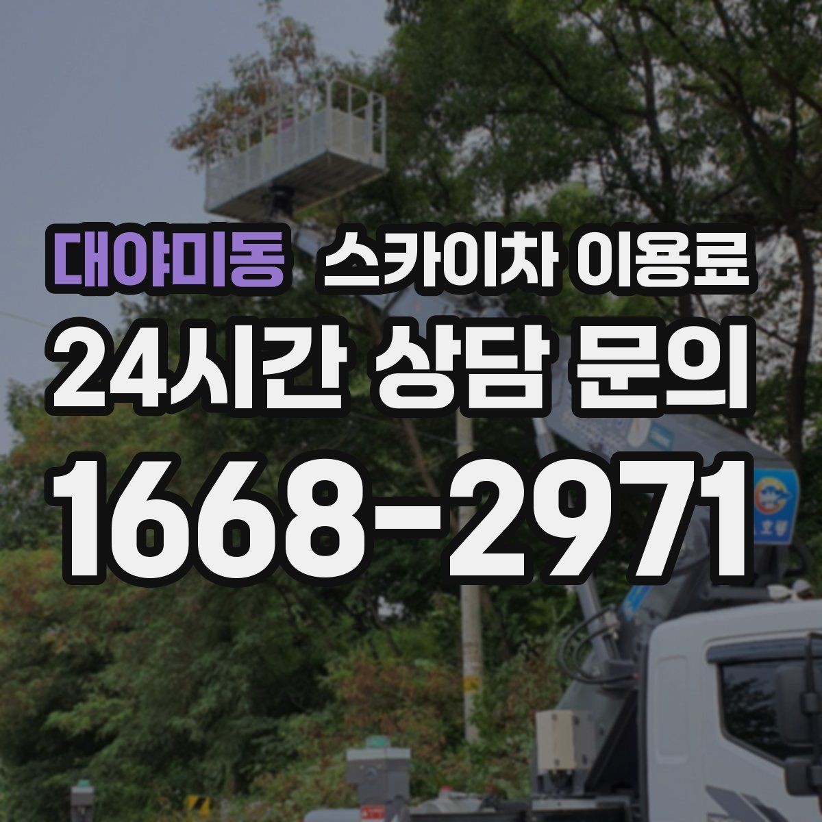 대야미동 스카이차 이용료 확인 전 작업 목적을 먼저 정리해야 하는 이유